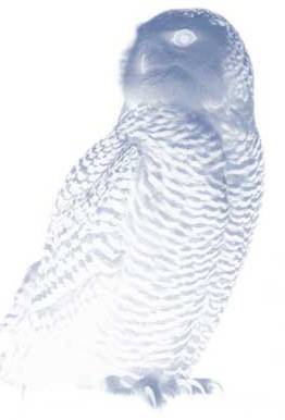 www.art.e-zine.it