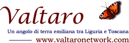 Valtaro - Quotidiano d'informazione territoriale
