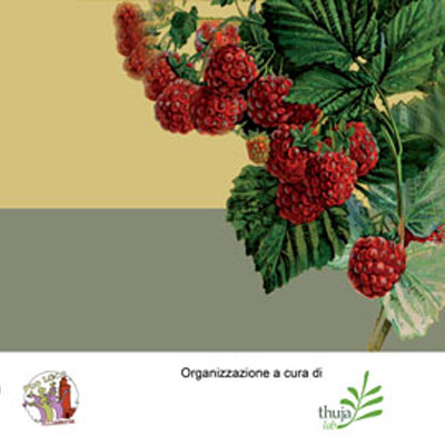 Thuja Lab - banner Frutti Rari alla Santa 2016